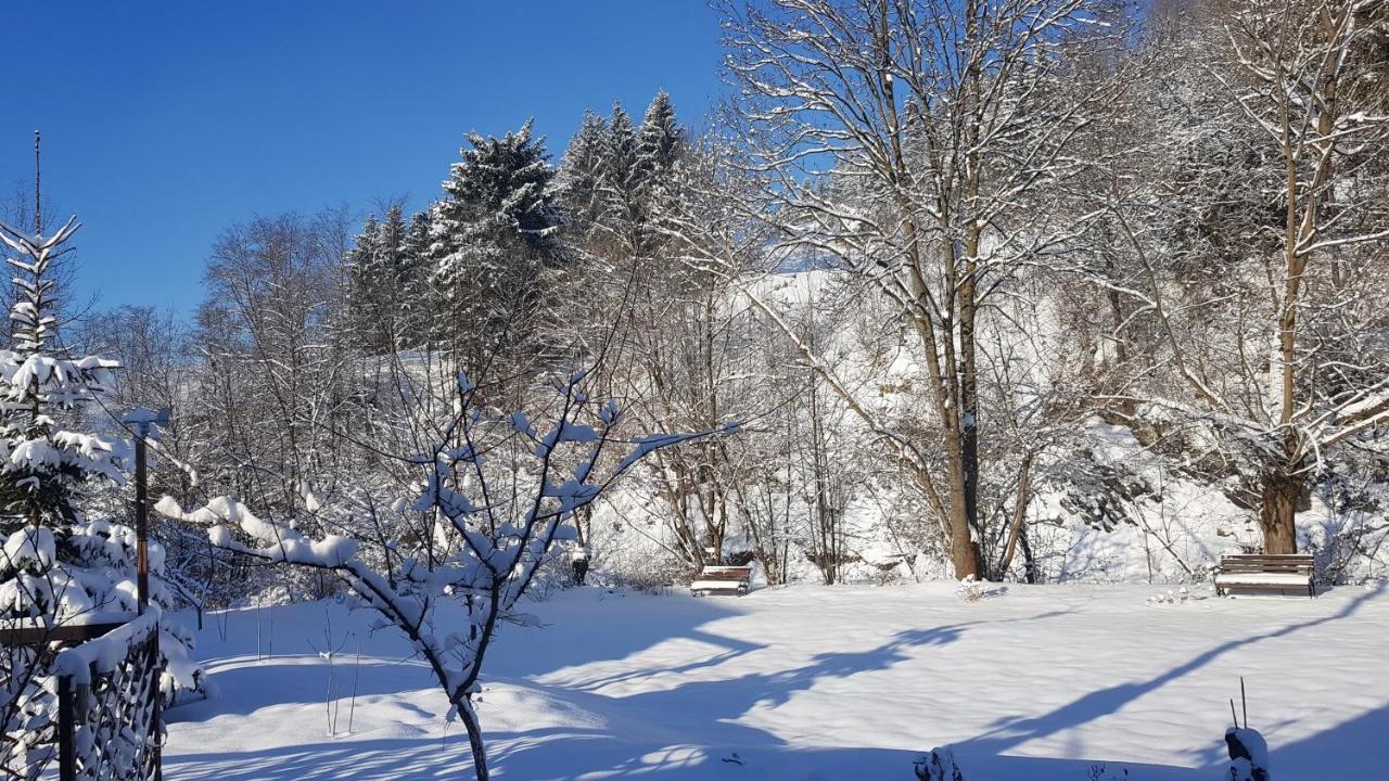 Gallery Of Mountains Holiday Home Yasinia Eksteriør bilde